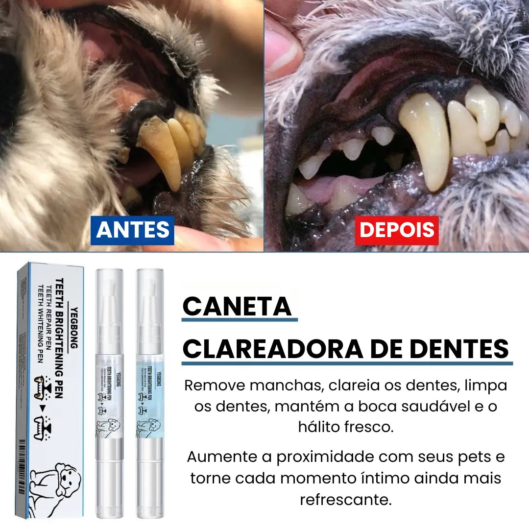 Kit de Higiene Bucal