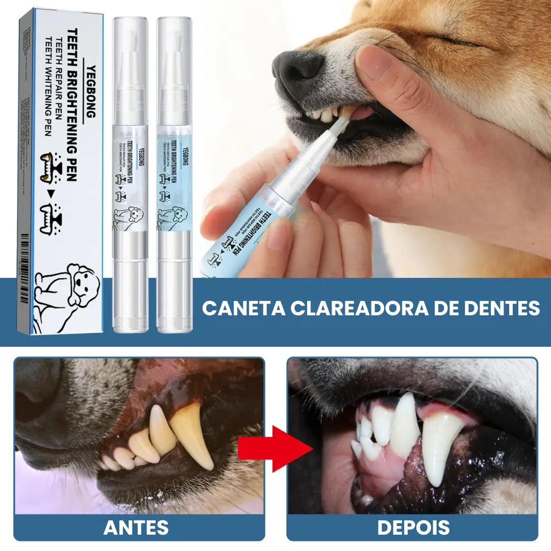 Kit de Higiene Bucal