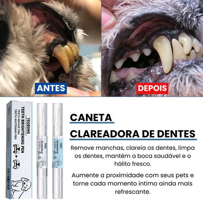 Kit de Higiene Bucal